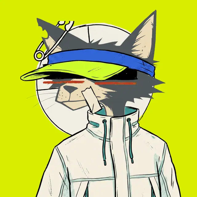 Broker #1357, a screenprinted alley cat.